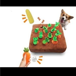 Dog carrot search toy